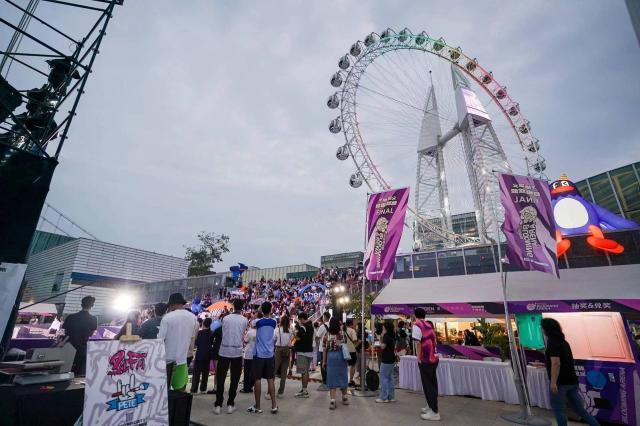 p6.jpg